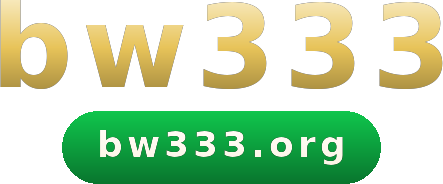bw333 logo